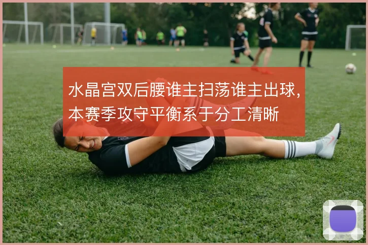 水晶宫双后腰谁主扫荡谁主出球，本赛季攻守平衡系于分工清晰