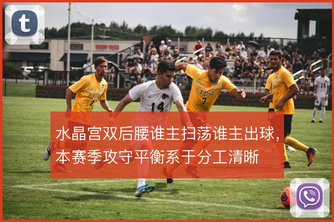 水晶宫双后腰谁主扫荡谁主出球，本赛季攻守平衡系于分工清晰